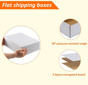 12x9x4 White Literature Box flat shipping box