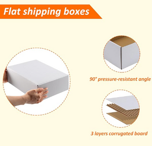 3 layers 12x9x4 White Literature Box flat shipping box