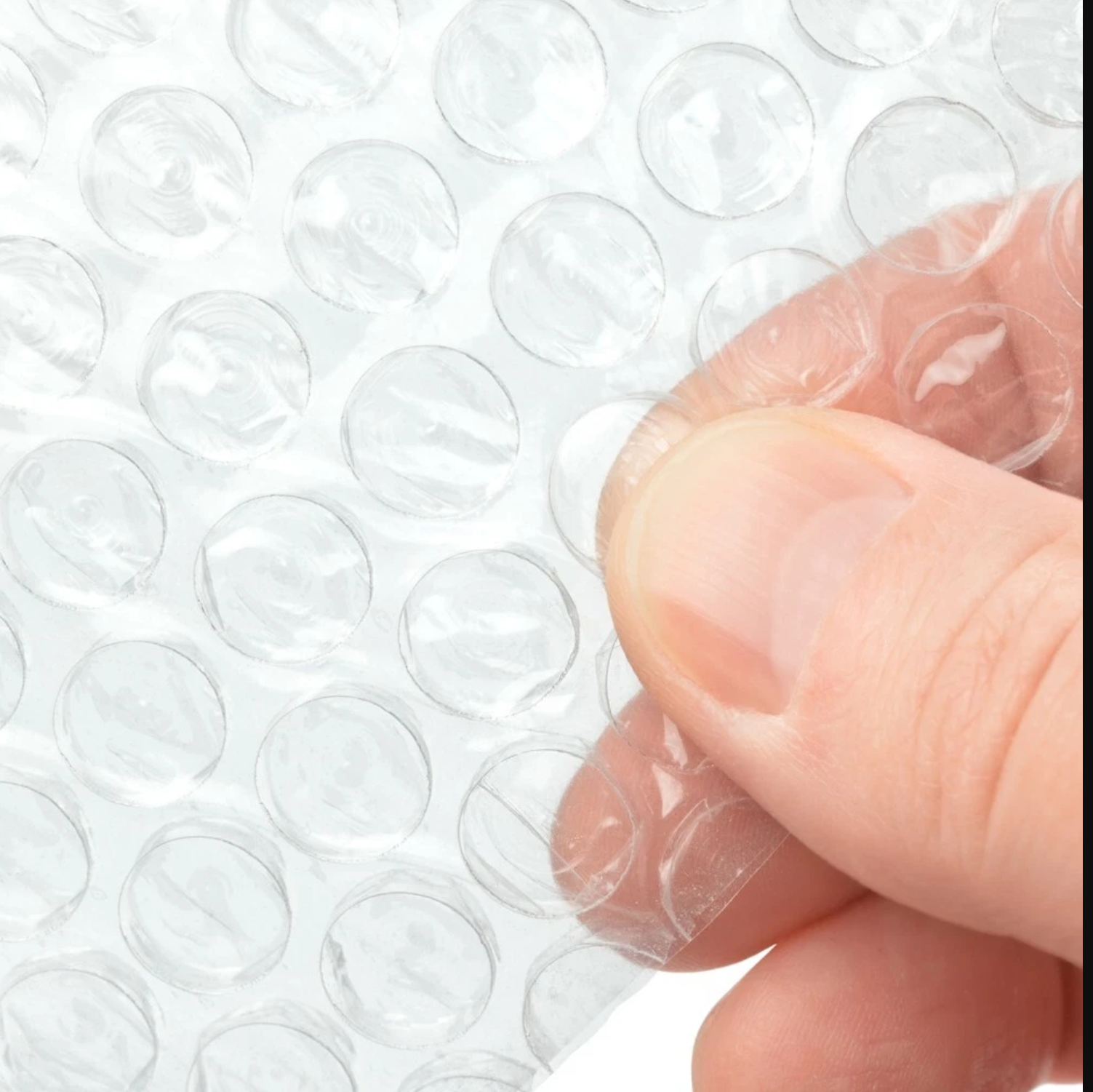 BubblePackWrap-4pack- bubbles