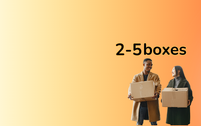 Bulk Sale Box - 13 Pcs main image 1